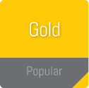 Gold logo design package