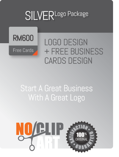 Silver Logo Design Package